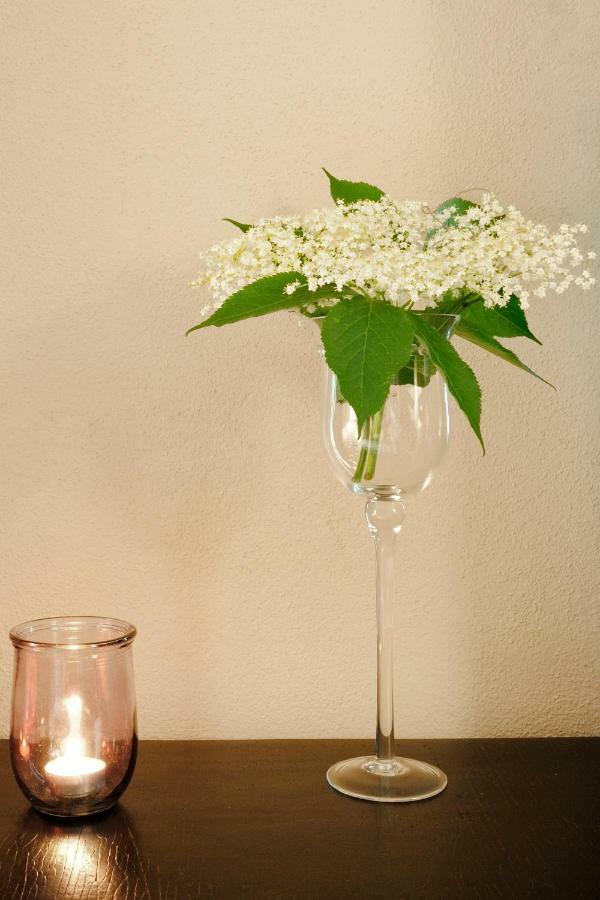 บีแอนด์บี อิล ซัมบูโก Bed & Breakfast Vignola  ภายนอก รูปภาพ