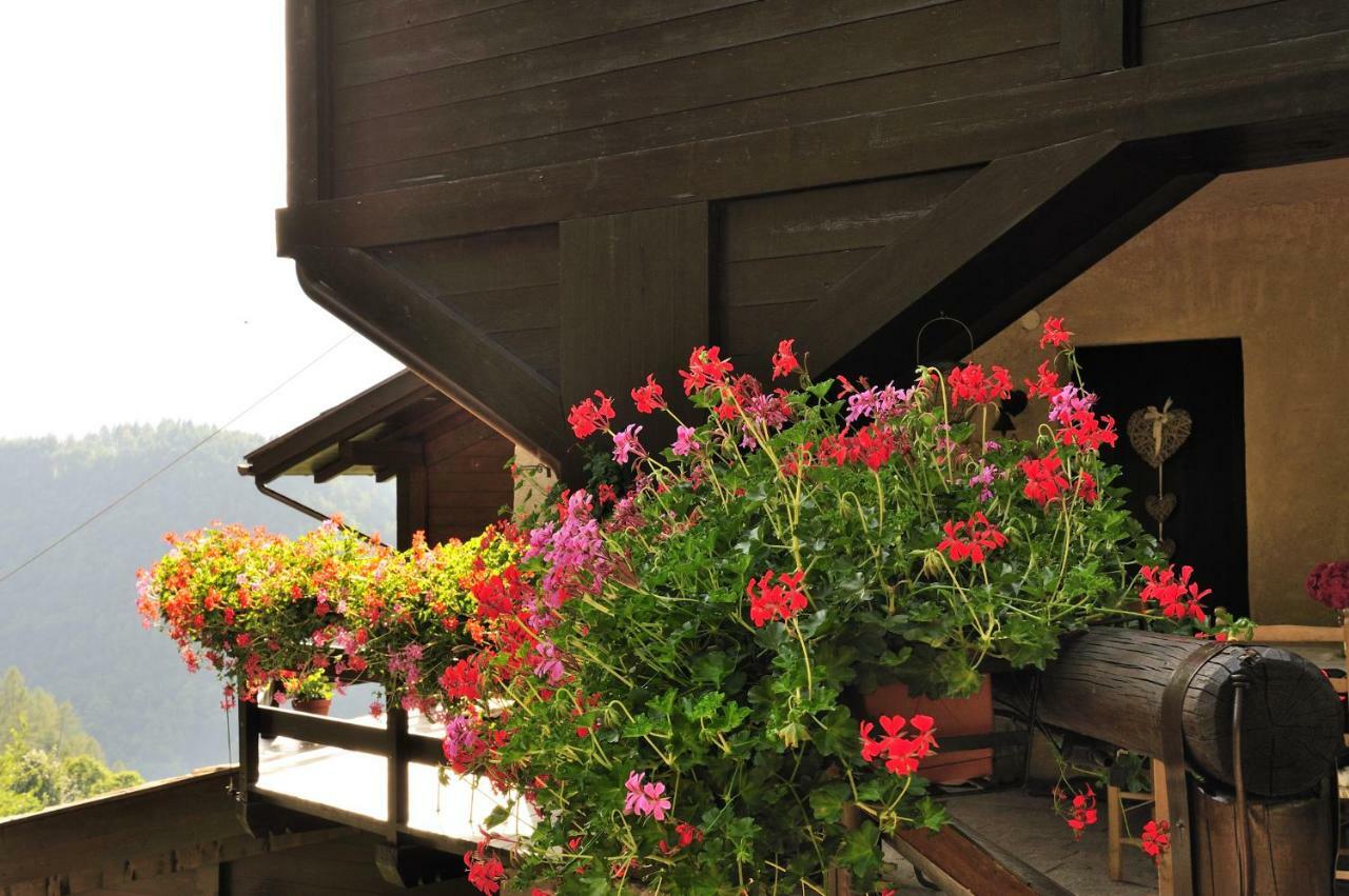 บีแอนด์บี อิล ซัมบูโก Bed & Breakfast Vignola  ภายนอก รูปภาพ